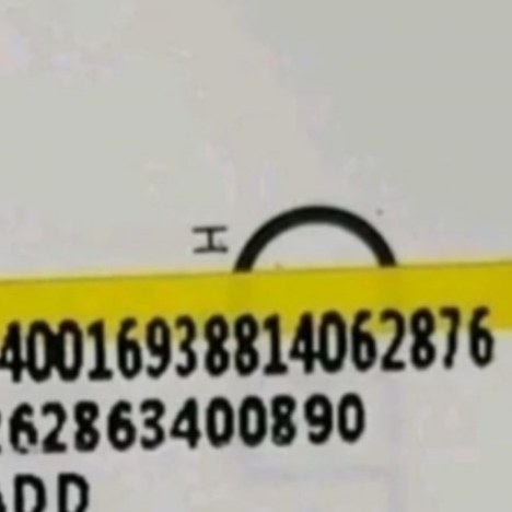 شامپو سیر بیوبلاس هدیه دار