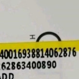 شامپو سیر بیوبلاس هدیه دار